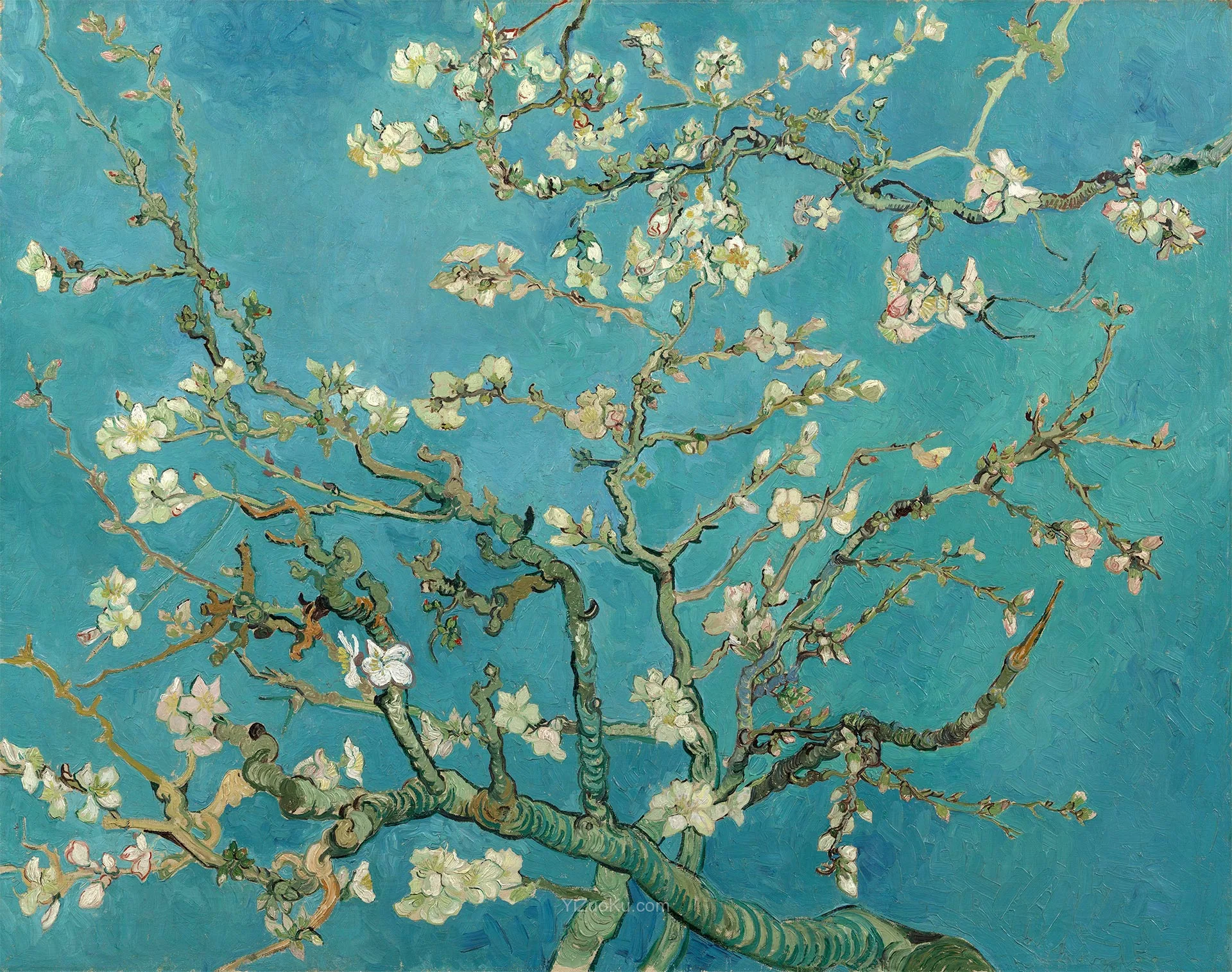 梵高作品《盛开的杏花》图片