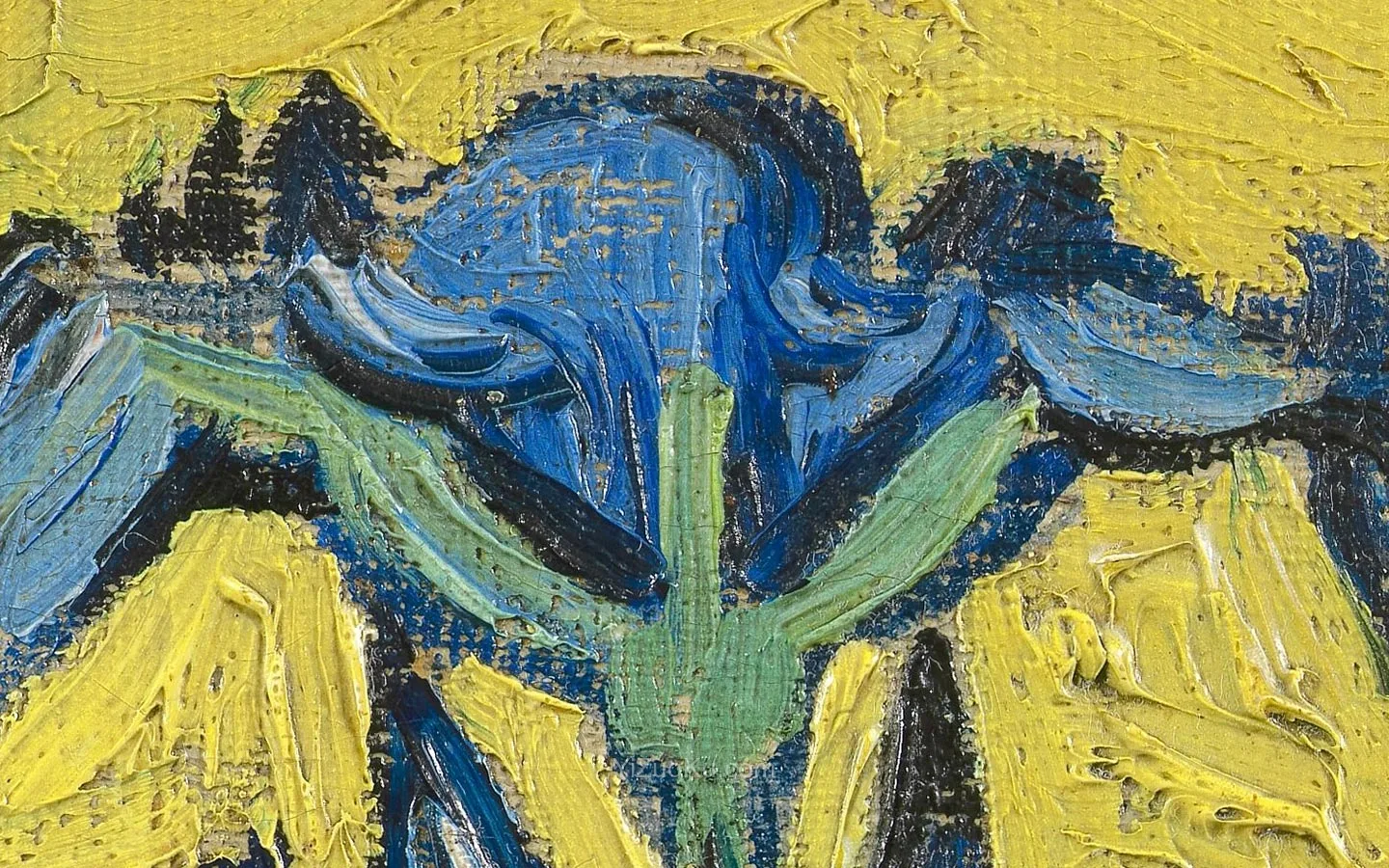 梵高油画静物《鸢尾花》超高清大图局部 (1)